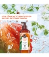 Zdjęcie produktu 2 z 6, Yves Rocher Mango & kolendra Mleczko do ciała