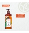 Zdjęcie produktu 6 z 6, Yves Rocher Mango & kolendra Mleczko do ciała