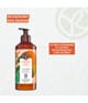 Zdjęcie produktu 6 z 6, Yves Rocher Mango & kolendra Mleczko do ciała