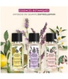 Produktbild 4 von 5, Yves Rocher Essences Botaniques Eau de Parfum
