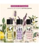 Yves Rocher Essences Botaniques Eau de Parfum 50 ml 3660005428192 visual-shot_de