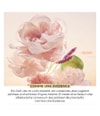 Produktbild 3 von 5, Yves Rocher Comme une Evidence Duftset