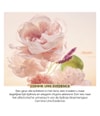 Productafbeelding 3 van 5, Yves Rocher Comme une Evidence Geurset