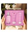 Produktbild 2 von 5, Yves Rocher L'Evidence Duftset