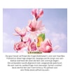 Productafbeelding 3 van 5, Yves Rocher L'evidence Geurset