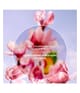Productafbeelding 5 van 5, Yves Rocher L'evidence Geurset