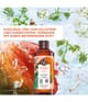 Produktbild 2 von 6, Yves Rocher Mango & Koriander Duschgel