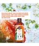 Productafbeelding 2 van 6, Yves Rocher Mango & Koriander Douchegel