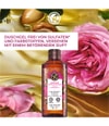 Produktbild 2 von 6, Yves Rocher Hammam Arganöl & Rosenblüten Duschgel