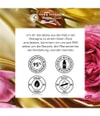 Produktbild 6 von 6, Yves Rocher Hammam Arganöl & Rosenblüten Duschgel