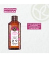 Zdjęcie produktu 6 z 6, Yves Rocher Hammam olejek arganowy & płatki róży Żel pod prysznic