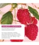 Productafbeelding 3 van 6, Yves Rocher Framboos & Pepermunt Douchegel