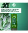 Produktbild 2 von 6, Yves Rocher Anti-Haarausfall Conditioner