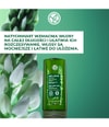 Zdjęcie produktu 2 z 6, Yves Rocher Anti-Haarausfall Odżywka