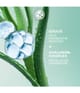 Productafbeelding 3 van 6, Yves Rocher Hydra Water-Plump Gezichtscrème