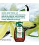 Produktbild 2 von 6, Yves Rocher Vanille Bourbon Duschgel