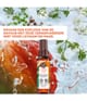 Productafbeelding 2 van 6, Yves Rocher Mango & Koriander Body Mist