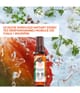 Zdjęcie produktu 2 z 6, Yves Rocher Mang & kolendra Spray do ciała