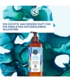 Produktbild 2 von 6, Yves Rocher Wildalge & Meerfenchel Body Milk
