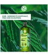 Produktbild 2 von 6, Yves Rocher Anti-Schuppen Haarshampoo