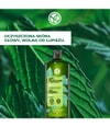 Zdjęcie produktu 2 z 6, Yves Rocher Anti-Schuppen Szampon do włosów