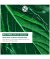 Produktbild 3 von 6, Yves Rocher Anti-Schuppen Haarshampoo