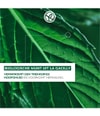 Productafbeelding 3 van 6, Yves Rocher Anti-Roos Shampoo