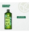 Productafbeelding 5 van 6, Yves Rocher Anti-Roos Shampoo