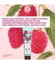 Produktbild 2 von 6, Yves Rocher Himbeere & Pfefferminze Körperpeeling