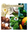 Produktbild 3 von 5, Yves Rocher Geschenkset mit 6 Mini-Duschbads Körperpflegeset