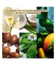 Productafbeelding 3 van 5, Yves Rocher Geschenkset 6 Bad-en Douchegels Persoonlijke verzorgingsset