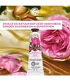 Productafbeelding 2 van 5, Yves Rocher Argan & Rozenblaadjes Handcrème