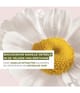 Productafbeelding 3 van 5, Yves Rocher Pure Calmille Gezichtscrème
