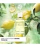 Produktbild 2 von 5, Yves Rocher Verte Envolée Eau de Parfum