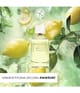 Zdjęcie produktu 2 z 5, Yves Rocher Verte Envolée Woda perfumowana
