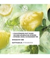 Zdjęcie produktu 3 z 5, Yves Rocher Verte Envolée Woda perfumowana