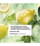 Produktbild 3 von 5, Yves Rocher Verte Envolée Eau de Parfum