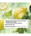 Zdjęcie produktu 3 z 5, Yves Rocher Verte Envolée Woda perfumowana
