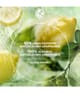 Produktbild 5 von 5, Yves Rocher Verte Envolée Eau de Parfum