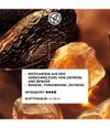 Produktbild 3 von 5, Yves Rocher Sable Fauve Eau de Parfum