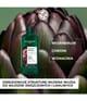 Zdjęcie produktu 2 z 6, Yves Rocher Szampon repair Szampon do włosów