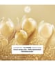 Zdjęcie produktu 3 z 6, Yves Rocher Anti-âge global Serum do twarzy