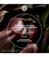 Zdjęcie produktu 6 z 6, Yves Rocher Wygładzający balsam-krem do włosów Krem do włosów
