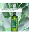 Produktbild 2 von 6, Yves Rocher Anti-Haarausfall Haarshampoo