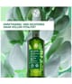 Produktbild 2 von 6, Yves Rocher Anti-Haarausfall Haarshampoo