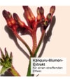 Produktbild 4 von 6, CLARINS Total Eye Augenbalsam