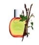 Produktbild 3 von 3, CLARINS Eau des Jardins Körperspray