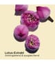 Produktbild 4 von 6, CLARINS Huile Lotus Gesichtsöl