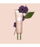 Produktbild 2 von 6, CLARINS SOS Primer Primer