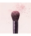 Produktbild 4 von 6, By Terry Tool-Expert Rougepinsel